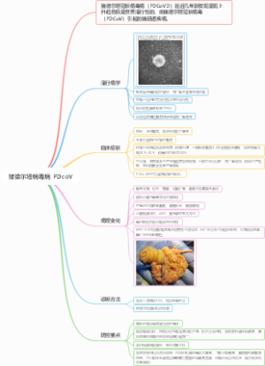猪德尔塔病毒病 PDcoV