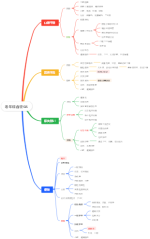 老年综合征GS