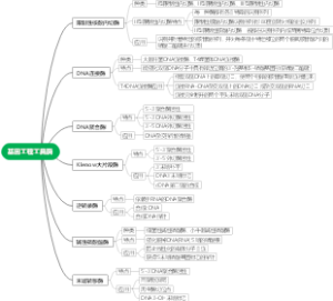 基因工程工具酶