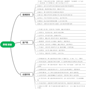 养老项目A思维导图