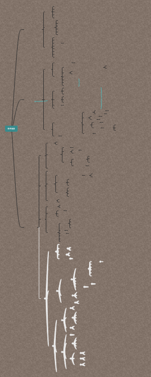 胸部检查