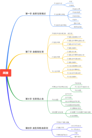 血液思维导图