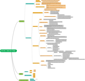 Education，Media and Holidays