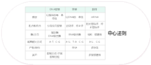 中心法则