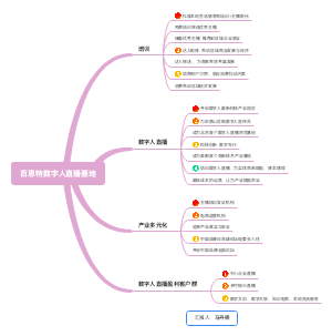 百思特数字人直播基地导图