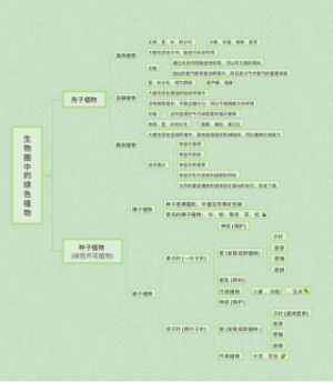生物圈中的绿色植物