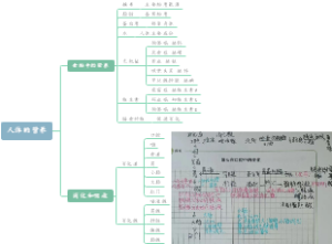 七年级下册生物第二单元：人体的营养