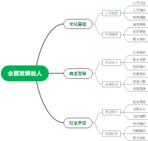 核心素养思维导图