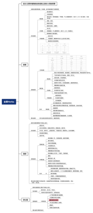 全草类中药