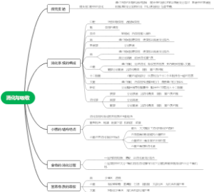 初中生物消化与吸收