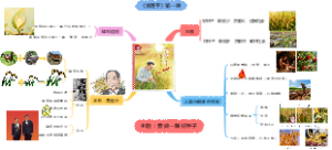 《袁隆平》第一讲