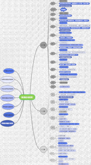 精细运动发育过程