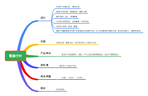 胃肠宁片