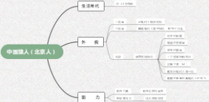 中国猿人（北京人）