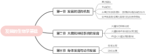心理学-苏彦捷 第二章发展的生物学基础 思维导图