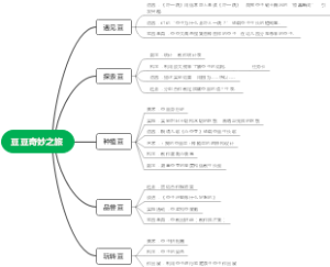 豆子奇妙之旅