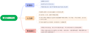  审计成果运用