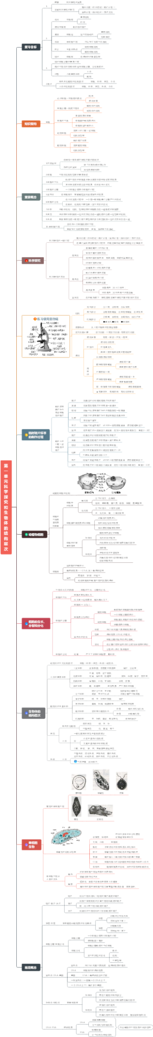 【中考生物·第一单元】科学探究和生物体的结构层次