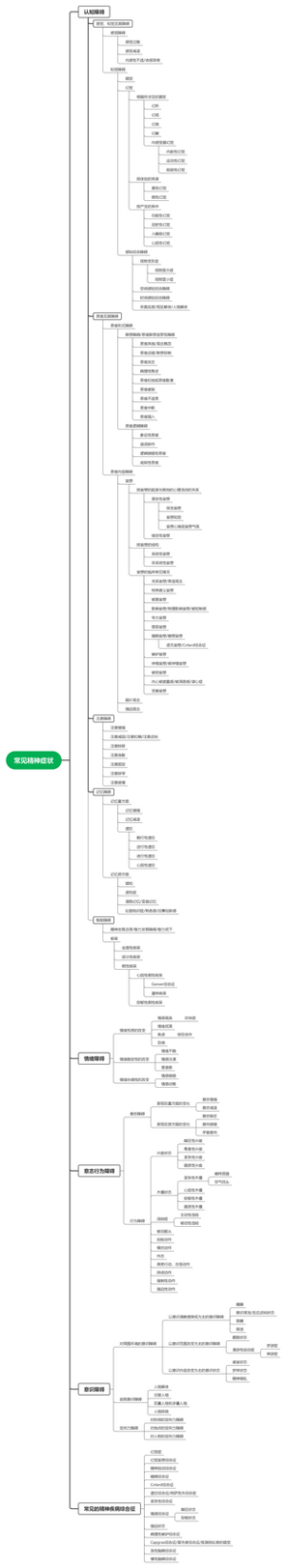 常见精神症状