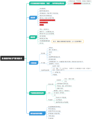 急重症纤维支气管镜技术