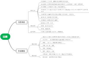 比雅