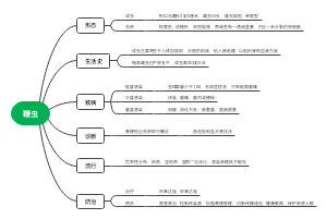 鞭虫