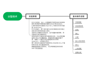 TaqMan探针法基因分型流程图