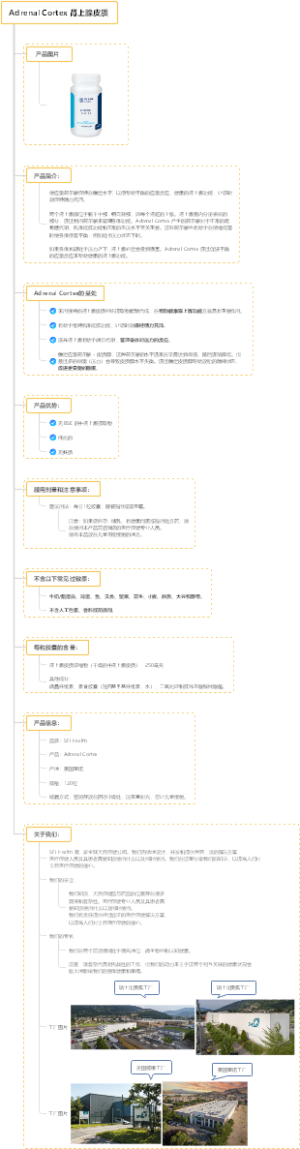 肾上腺皮质