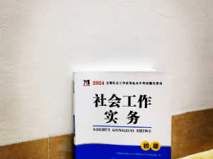 2024年初级社工考试——社会工作实务