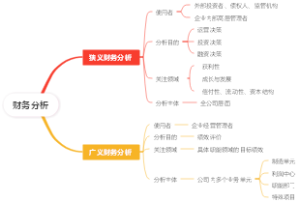 财务分析