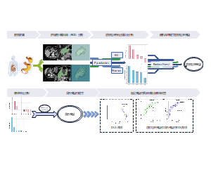 医学影像处理