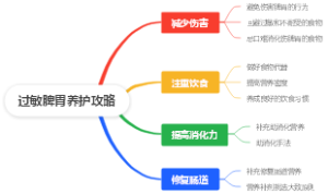 过敏脾胃养护攻略