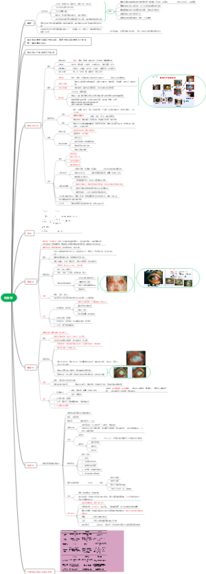 医学-角膜炎思维导图