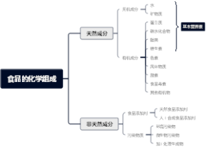 食品的化学组成