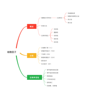 病理生理学-细胞因子思维导图
