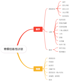 寒假任务性计划