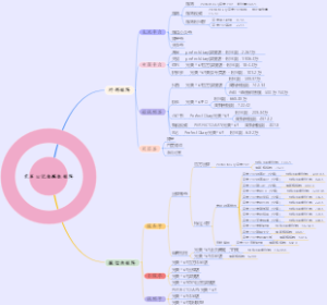 完美日记自媒体矩阵思维导图