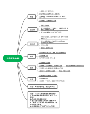 关于动物