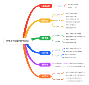 眼镜王蛇和眼镜蛇的区别