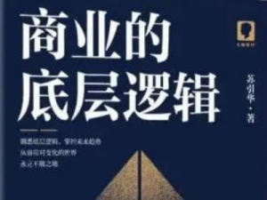商业的底层逻辑-苏引华
