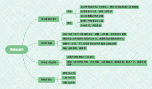 七年级下册14课明朝的统治思维导图