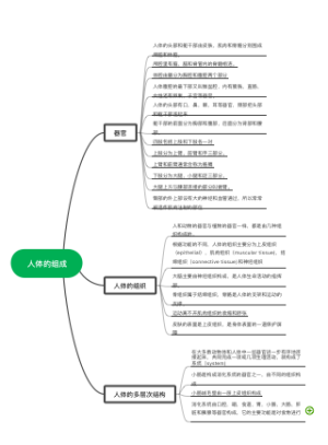人体的组成