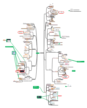 生理课 神经系统功能（题目已做）