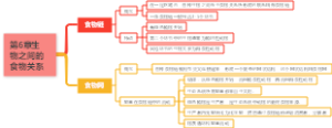 第6章生物之间的食物关系
