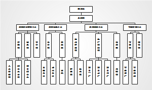 格瑞芬-企业组织架构图