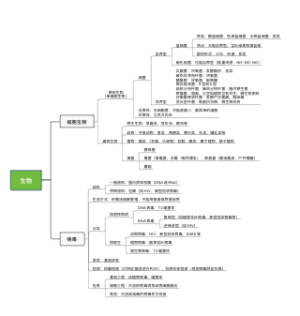 高中生物思维导图