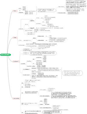 第四章 剩余价值的流通过程