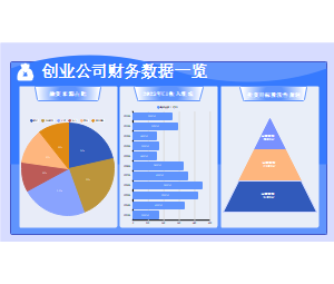 公司上半年融资情况数据可视化PPT