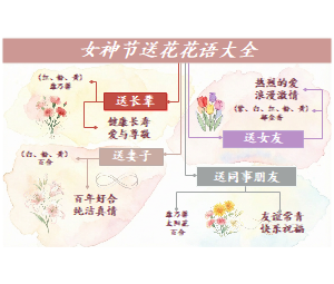 女神节送花花语指南图-不同对象送花寓意一览