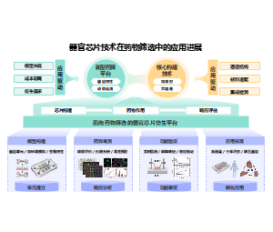 器官芯片技术与药物筛选应用体系医学PPT